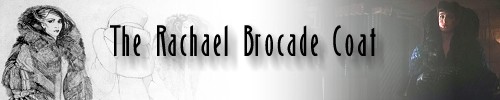 The Rachael Brocade Coat Banner (small)